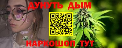 гашик Можга
