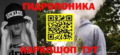гашик Можга
