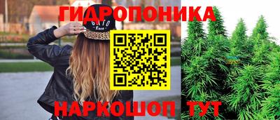 гашик Можга