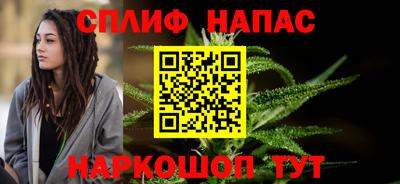 гашик Можга