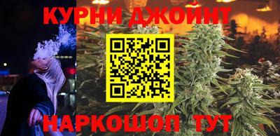гашик Можга