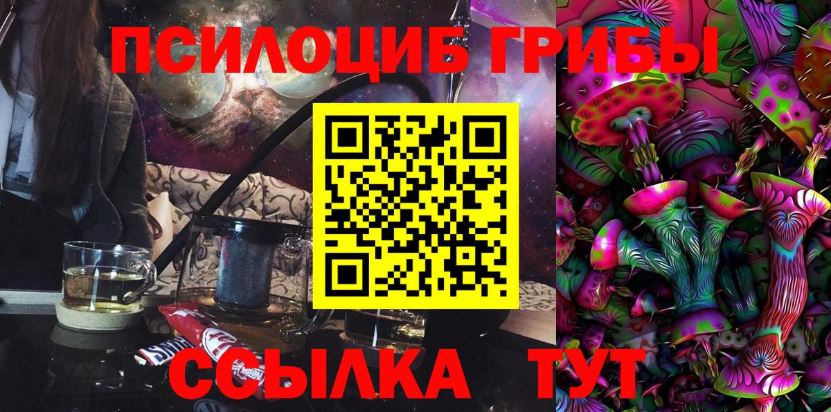 Псилоцибиновые грибы Psilocybe Каменск-Шахтинский